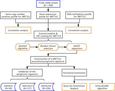 Construction and Comprehensive Analyses of a METTL5-Associated Prognostic Signature With Immune Implication in Lung Adenocarcinomas
